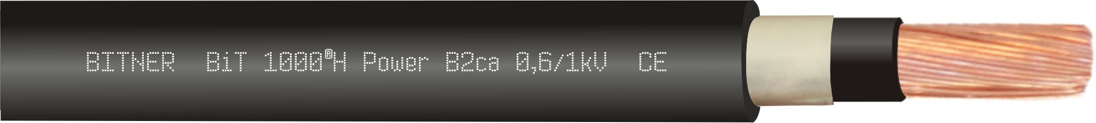 BiT 1000®H Power B2ca